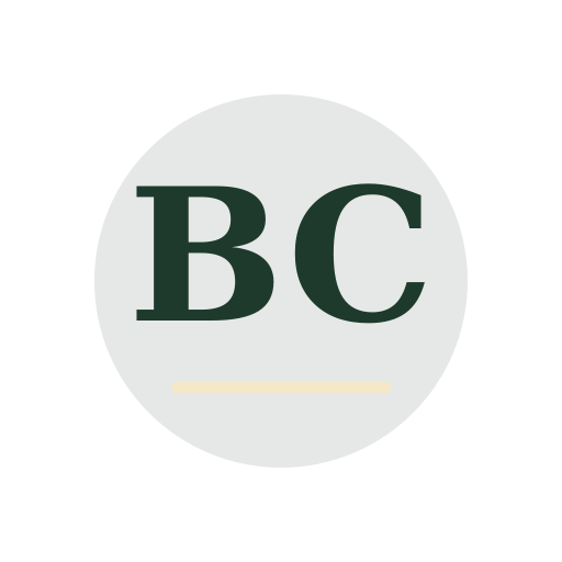 Boto Chimney Repair logo